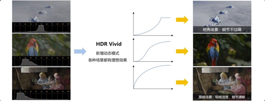 什么是HDR Vivid（菁彩HDR）？如何区分HDR Vivid视频