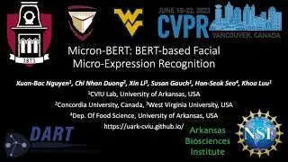 CVPR2023｜Micron-BERT: 基于BERT的人脸微表情识别