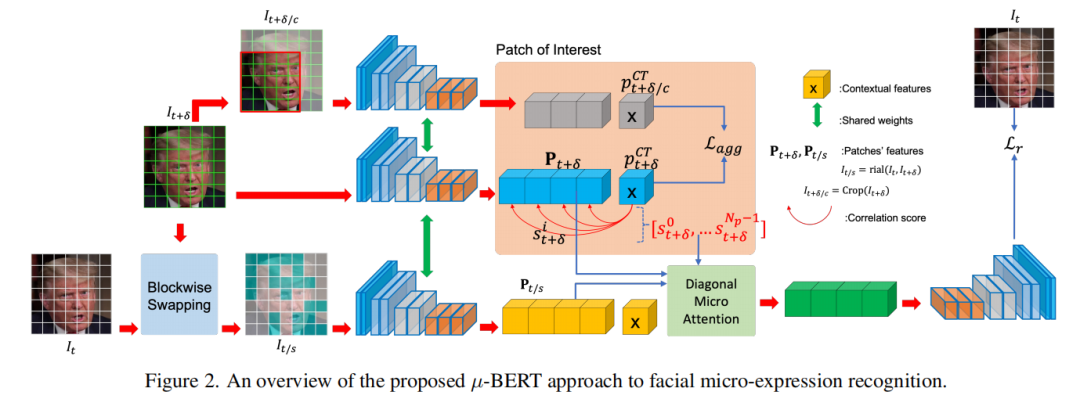 CVPR2023｜Micron-BERT: 基于BERT的人脸微表情识别