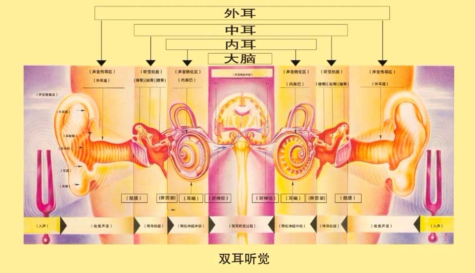 空间音频体验与评价方案