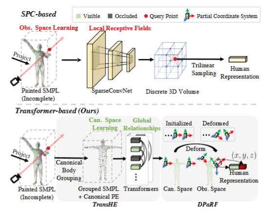 TransHuman: 基于Transformer的广义体渲染人体表示