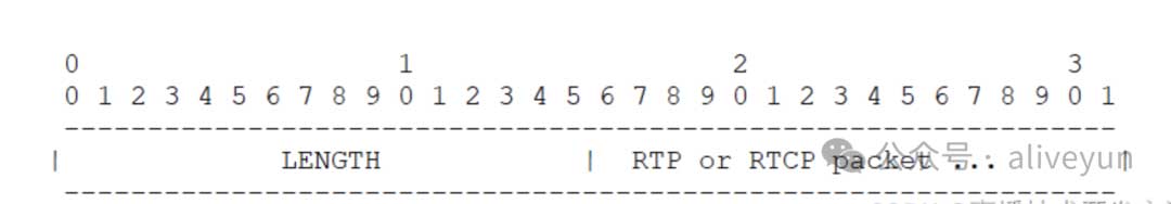 GB28181 RTP over TCP