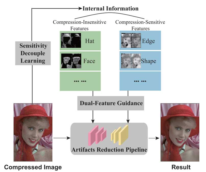 DAGN：通过敏感度解耦学习减少图像压缩伪影 | IEEE TIP 2024