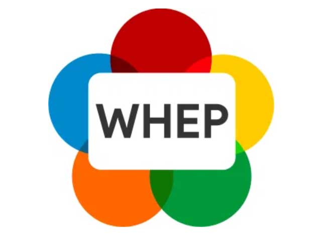 了解 WHIP、WHEP 和 Media Over QUIC：为什么它们在 2024 年很重要？