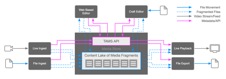 TAMS：实现 IP 互操作性的承诺